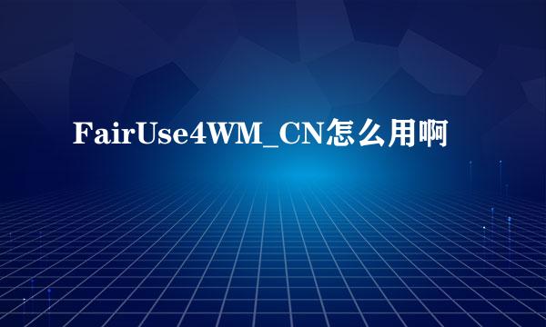 FairUse4WM_CN怎么用啊