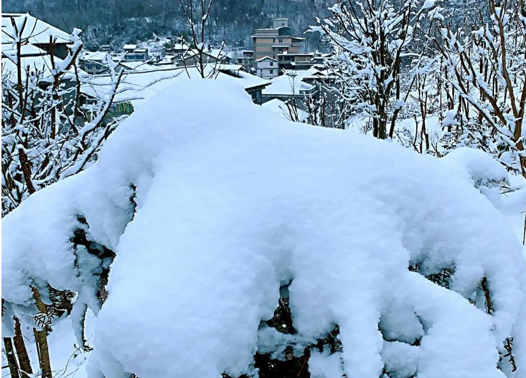 古人说三月下雪民间说法