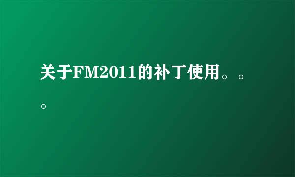 关于FM2011的补丁使用。。。