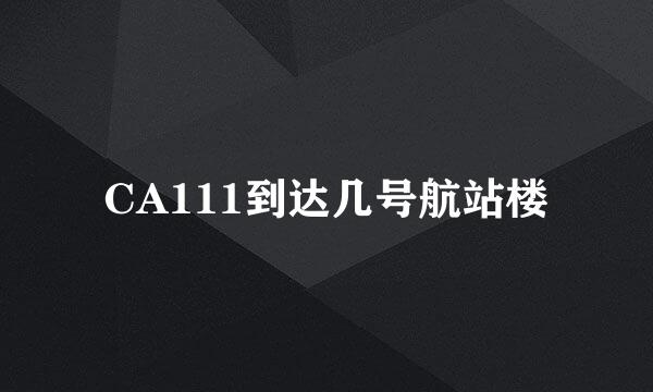 CA111到达几号航站楼