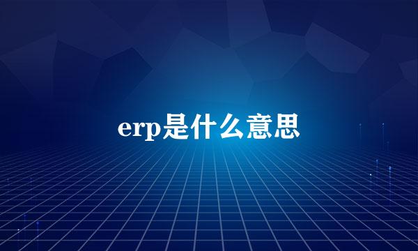 erp是什么意思