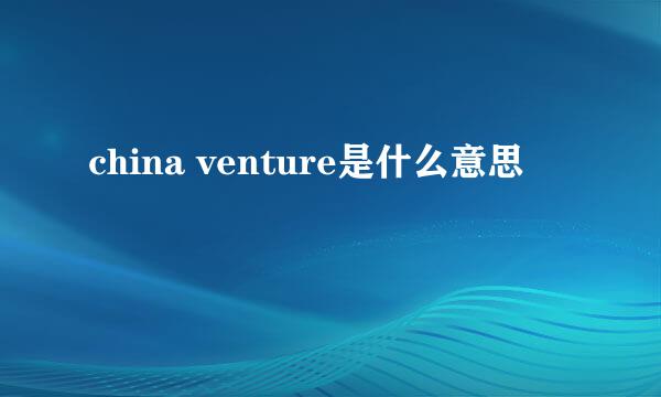 china venture是什么意思