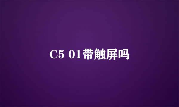 C5 01带触屏吗