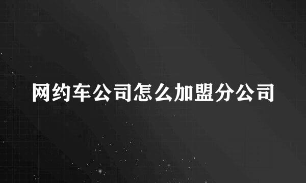 网约车公司怎么加盟分公司