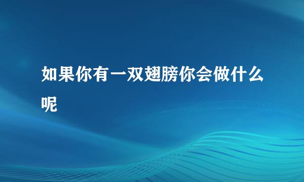 如果你有一双翅膀你会做什么呢