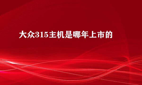 大众315主机是哪年上市的