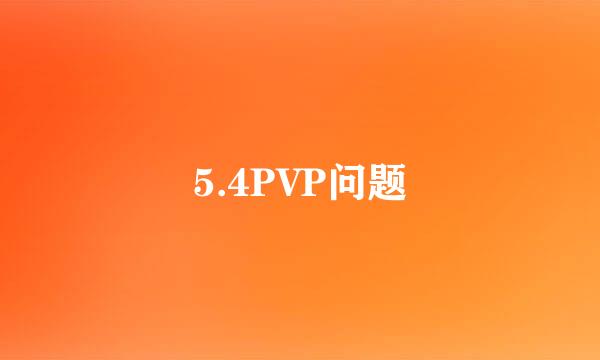 5.4PVP问题