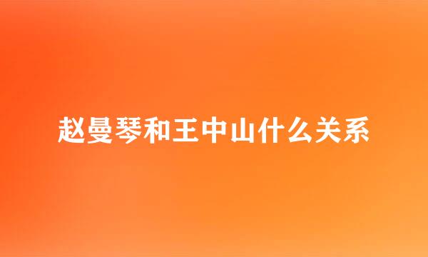 赵曼琴和王中山什么关系