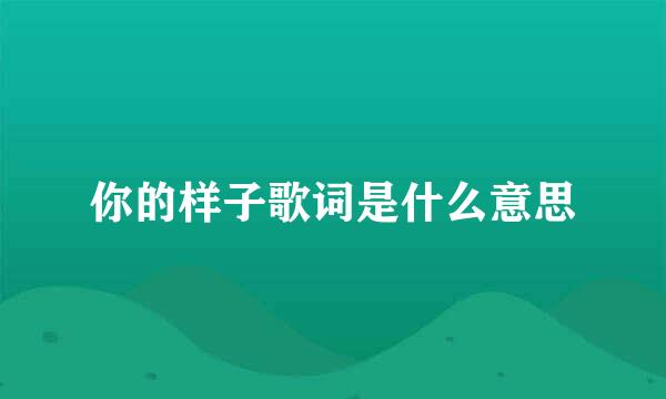 你的样子歌词是什么意思