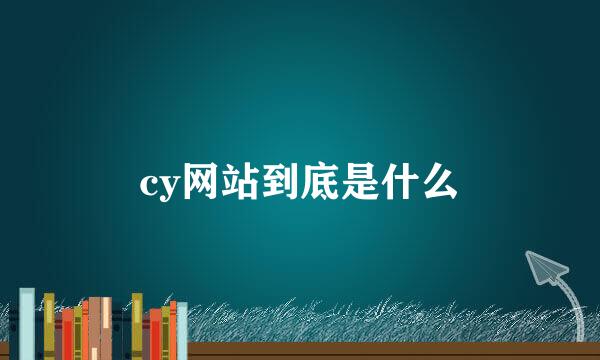 cy网站到底是什么