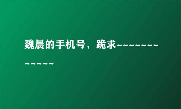 魏晨的手机号，跪求~~~~~~~~~~~~