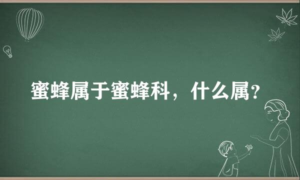 蜜蜂属于蜜蜂科，什么属？