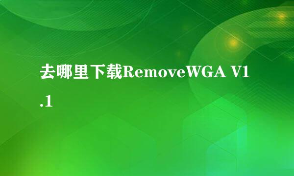 去哪里下载RemoveWGA V1.1