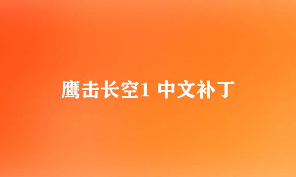 鹰击长空1 中文补丁