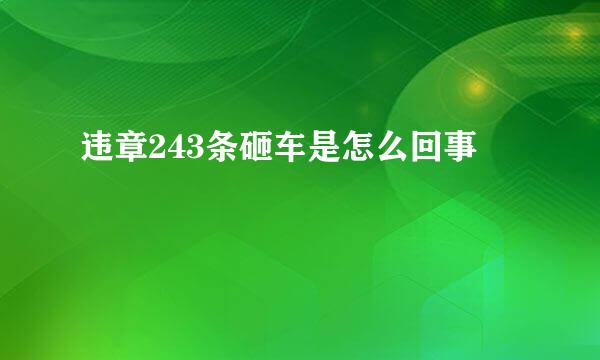 违章243条砸车是怎么回事