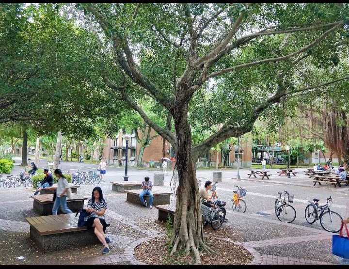 台湾大学大陆招生条件