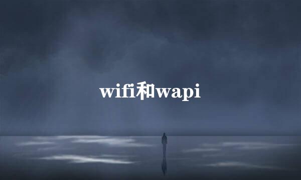 wifi和wapi