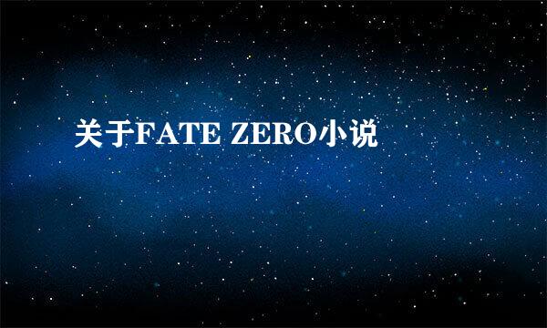 关于FATE ZERO小说