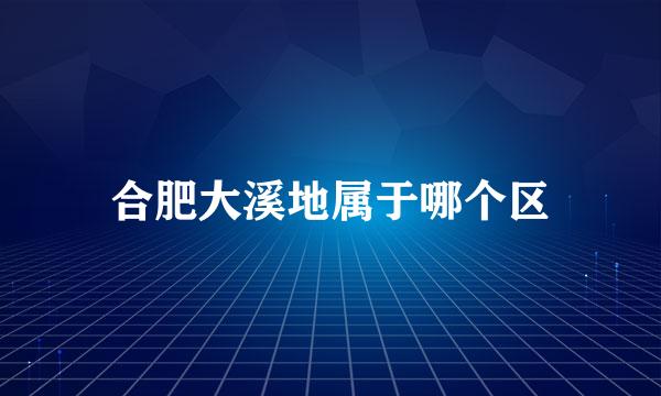 合肥大溪地属于哪个区