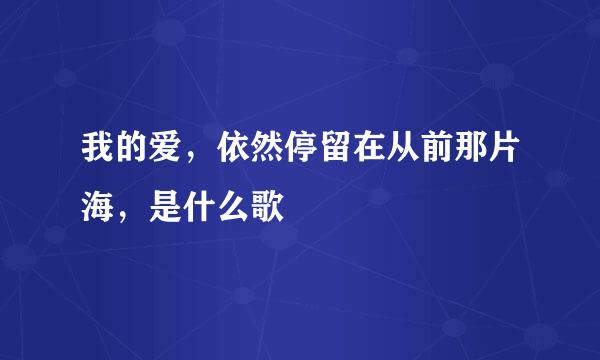 我的爱，依然停留在从前那片海，是什么歌