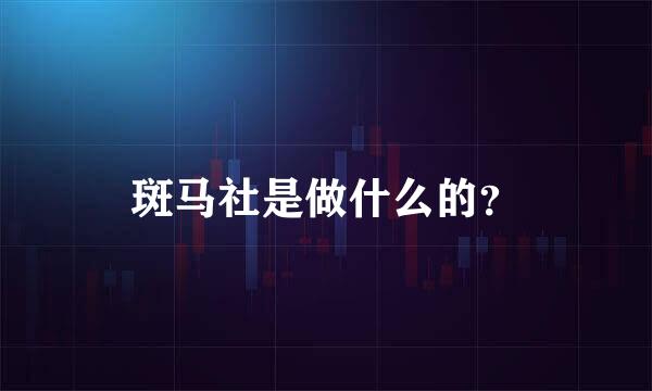 斑马社是做什么的？