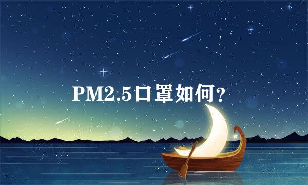 PM2.5口罩如何？