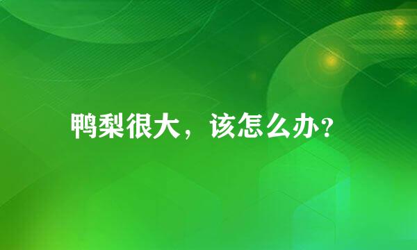 鸭梨很大，该怎么办？