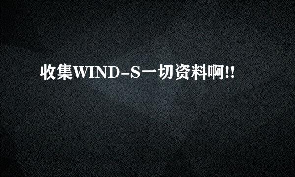 收集WIND-S一切资料啊!!