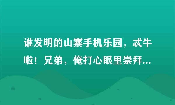 谁发明的山寨手机乐园，忒牛啦！兄弟，俺打心眼里崇拜你，要不要负法律责任吖？