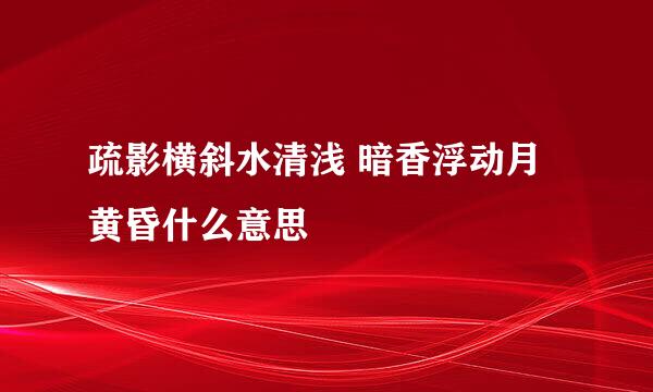 疏影横斜水清浅 暗香浮动月黄昏什么意思