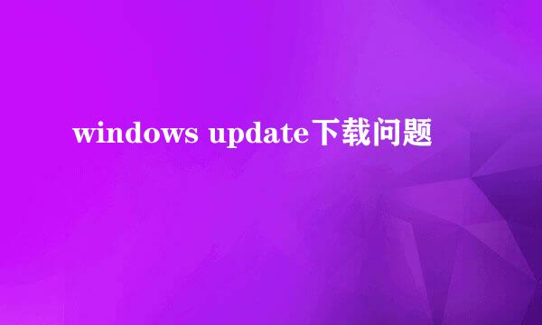 windows update下载问题