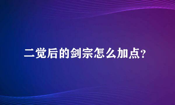 二觉后的剑宗怎么加点？