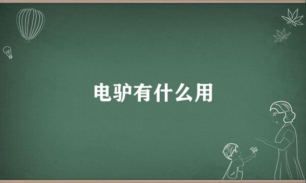 电驴有什么用