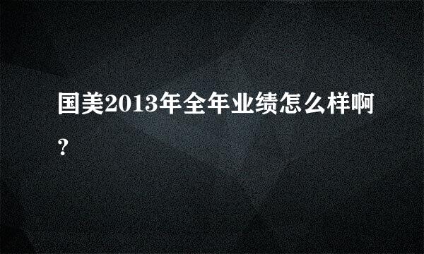 国美2013年全年业绩怎么样啊？