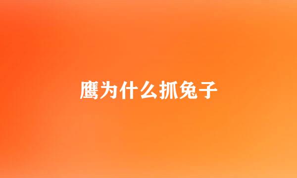 鹰为什么抓兔子