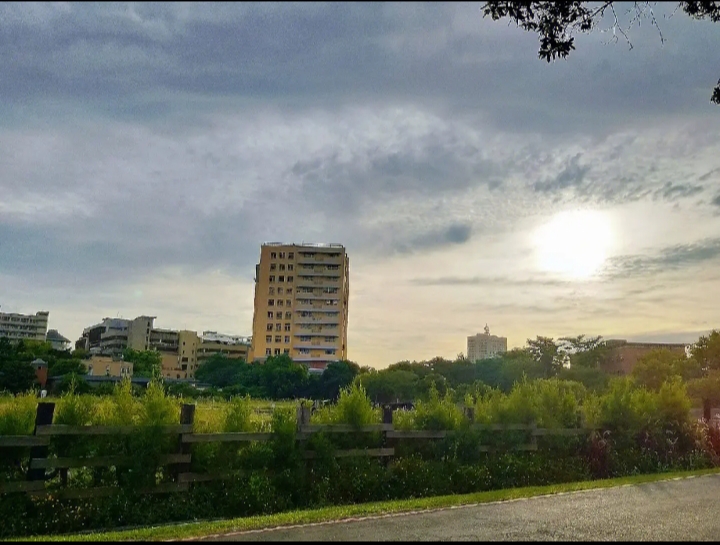 台湾大学大陆招生条件