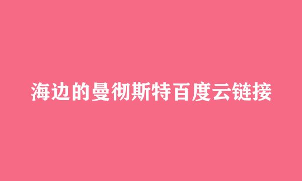 海边的曼彻斯特百度云链接