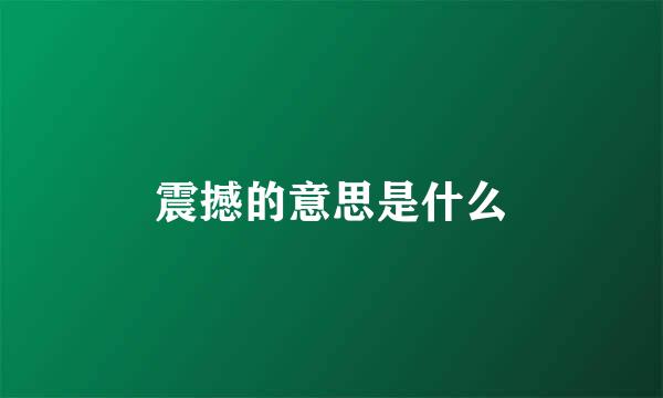 震撼的意思是什么