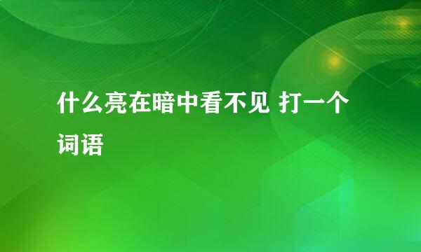 什么亮在暗中看不见 打一个词语