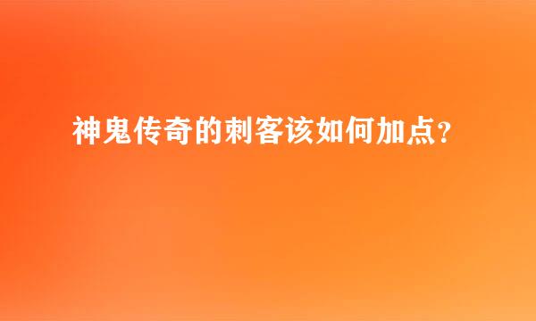 神鬼传奇的刺客该如何加点？