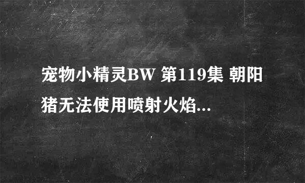 宠物小精灵BW 第119集 朝阳猪无法使用喷射火焰绝招的原因是什么？？