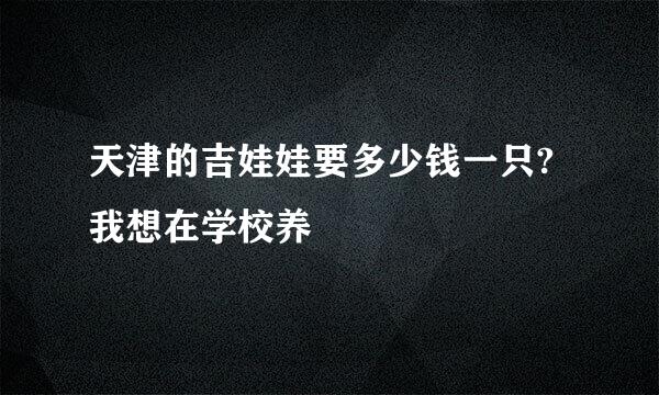 天津的吉娃娃要多少钱一只?我想在学校养