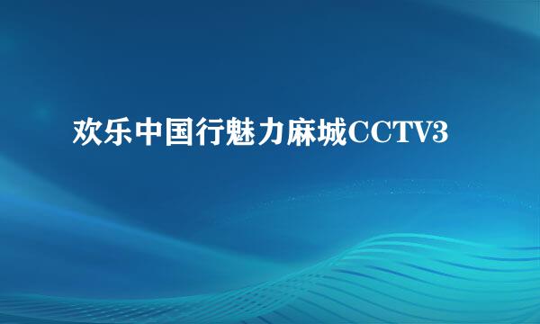 欢乐中国行魅力麻城CCTV3