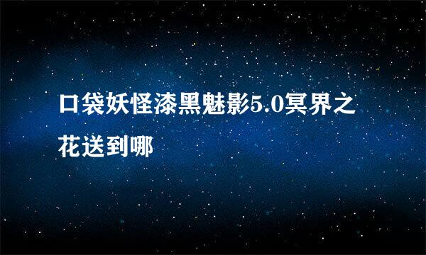 口袋妖怪漆黑魅影5.0冥界之花送到哪