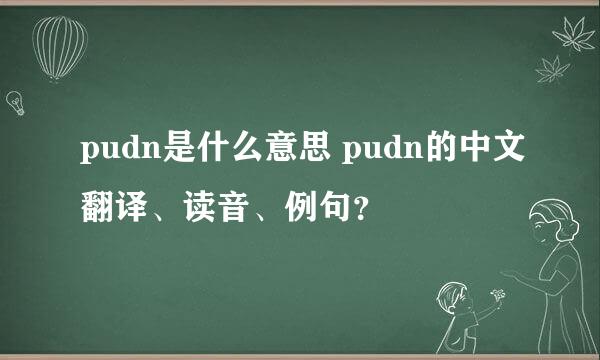 pudn是什么意思 pudn的中文翻译、读音、例句？