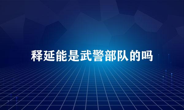 释延能是武警部队的吗