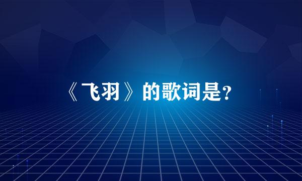 《飞羽》的歌词是？