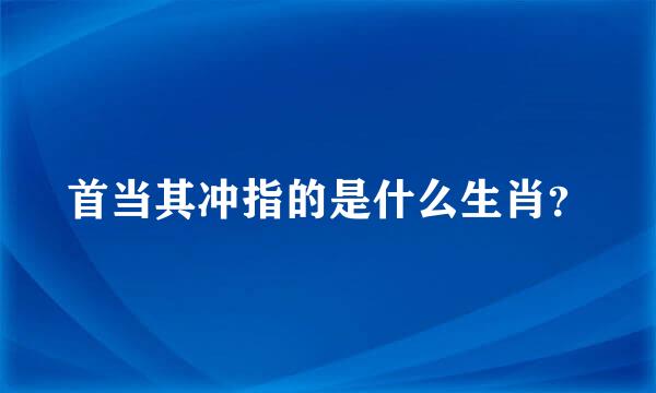 首当其冲指的是什么生肖？