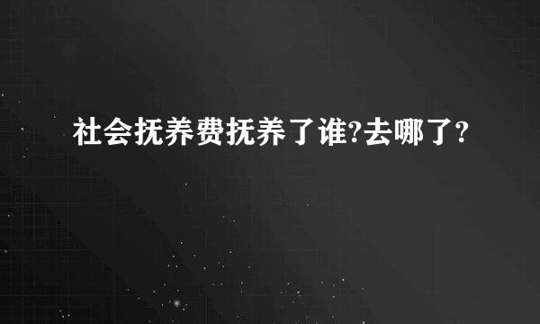 社会抚养费抚养了谁?去哪了?