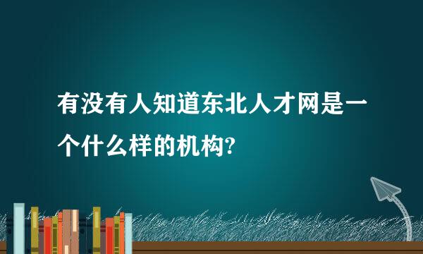 有没有人知道东北人才网是一个什么样的机构?